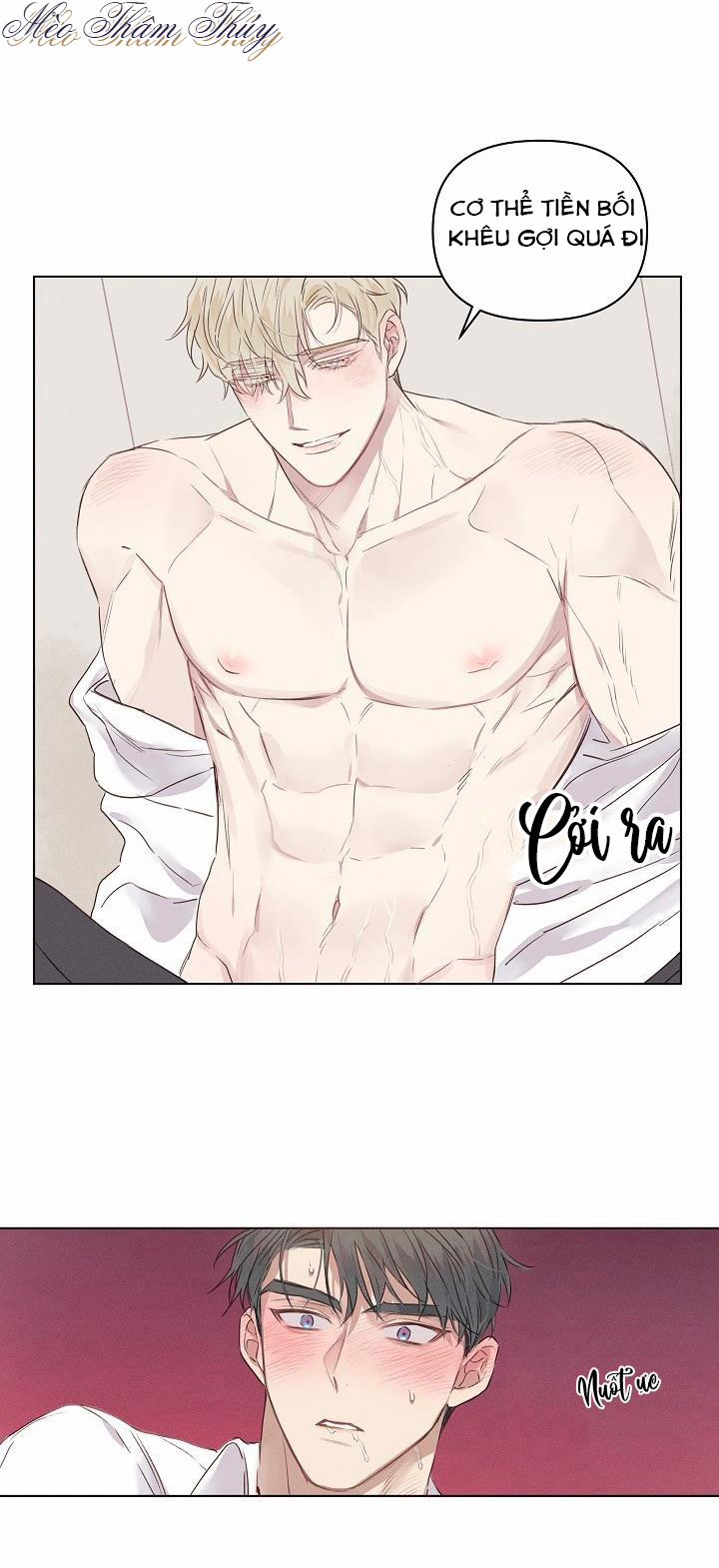 Tình Yêu Định Mệnh 3 trang 14