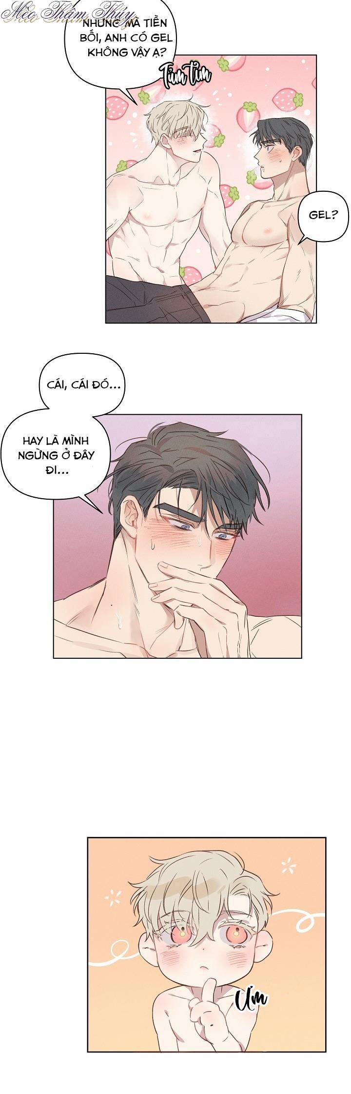 Tình Yêu Định Mệnh 3 trang 16