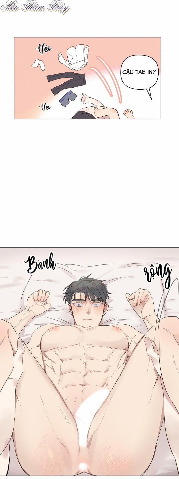 Tình Yêu Định Mệnh 3 trang 17