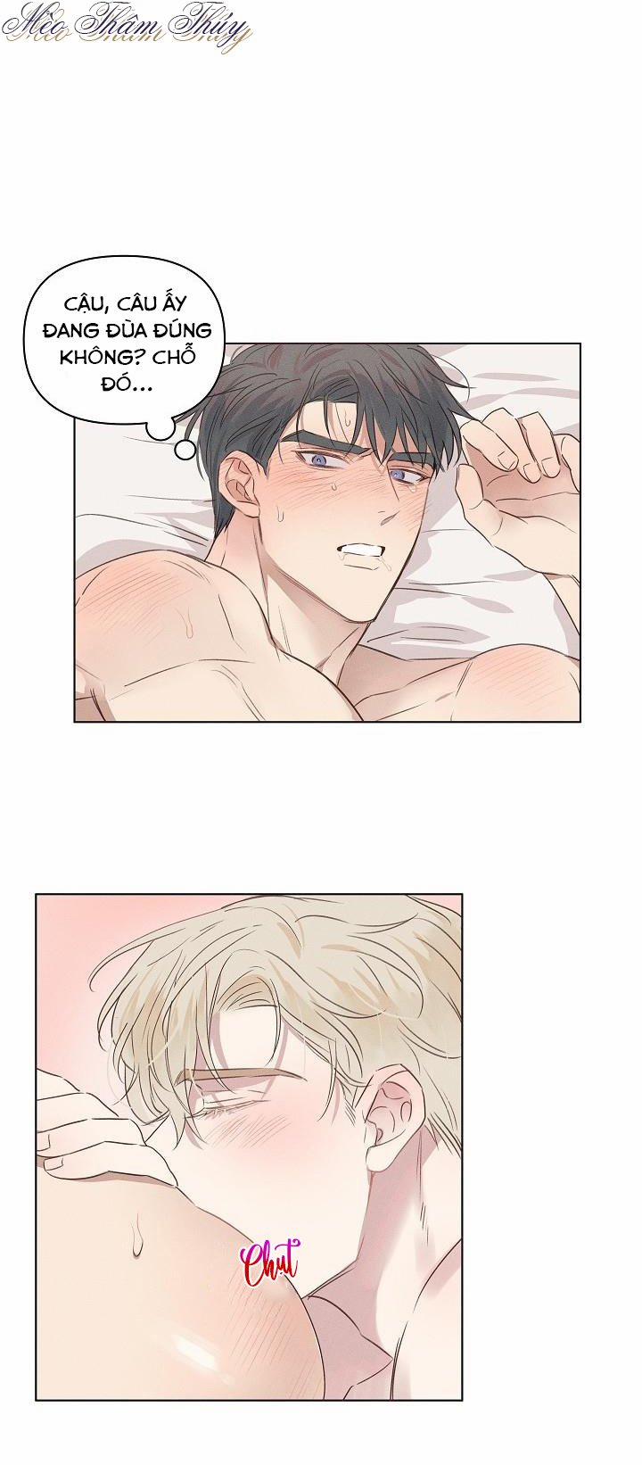 Tình Yêu Định Mệnh 3 trang 19