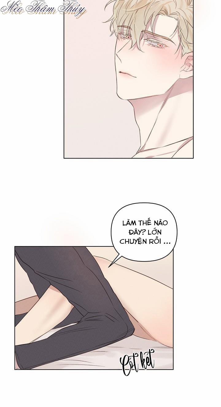 Tình Yêu Định Mệnh 3 trang 26