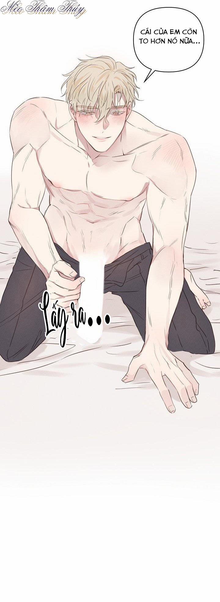 Tình Yêu Định Mệnh 3 trang 27