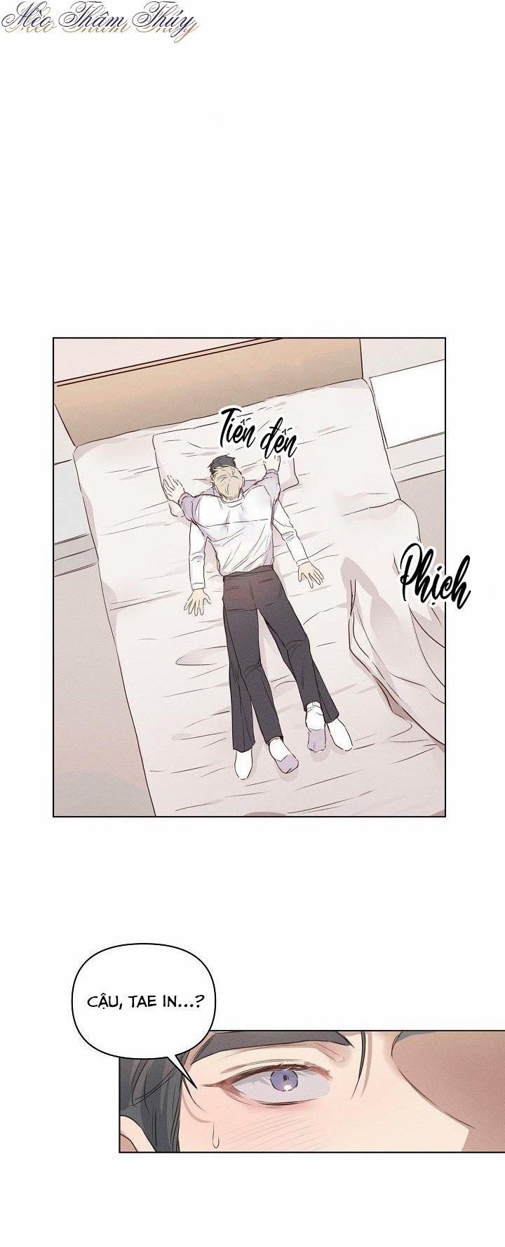 Tình Yêu Định Mệnh 3 trang 8