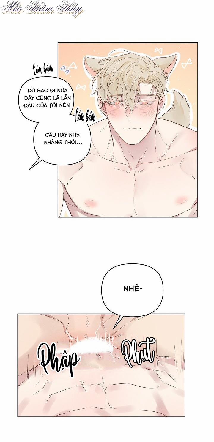 Tình Yêu Định Mệnh 4 trang 13