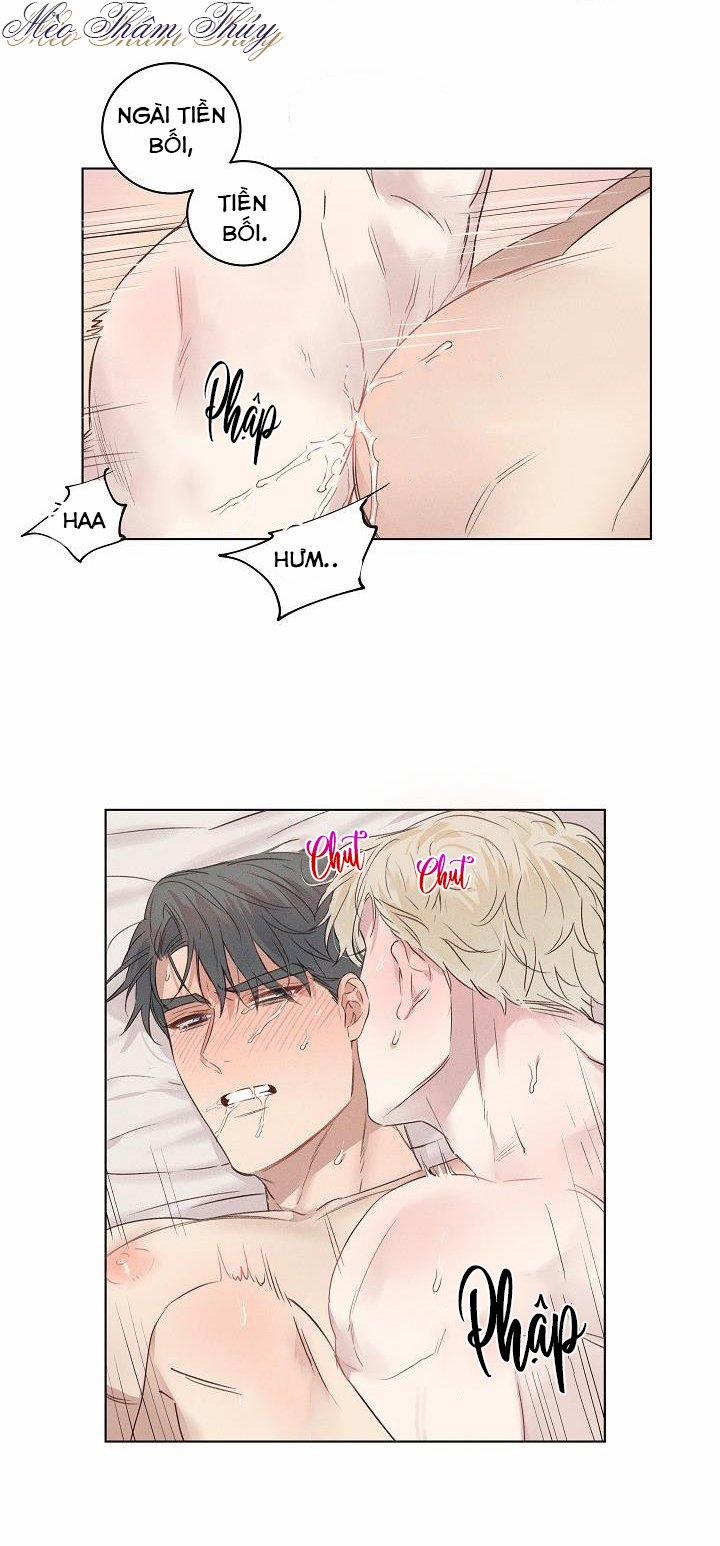 Tình Yêu Định Mệnh 4 trang 8