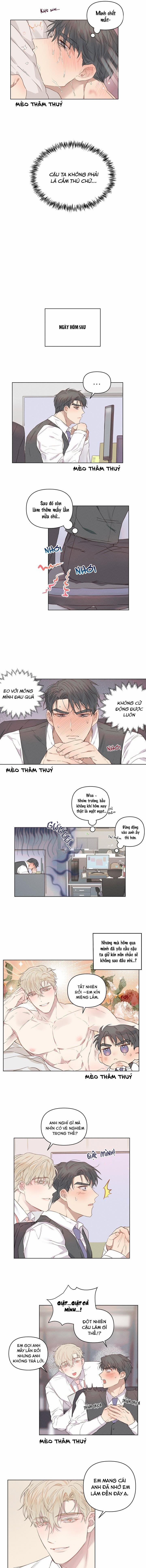 Tình Yêu Định Mệnh 5 trang 3