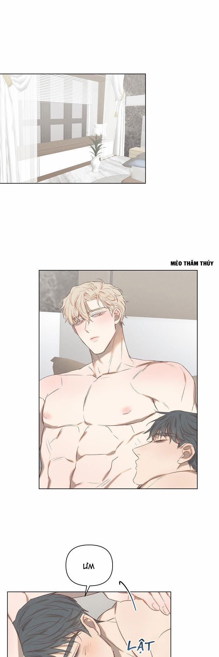 Tình Yêu Định Mệnh 8 trang 0