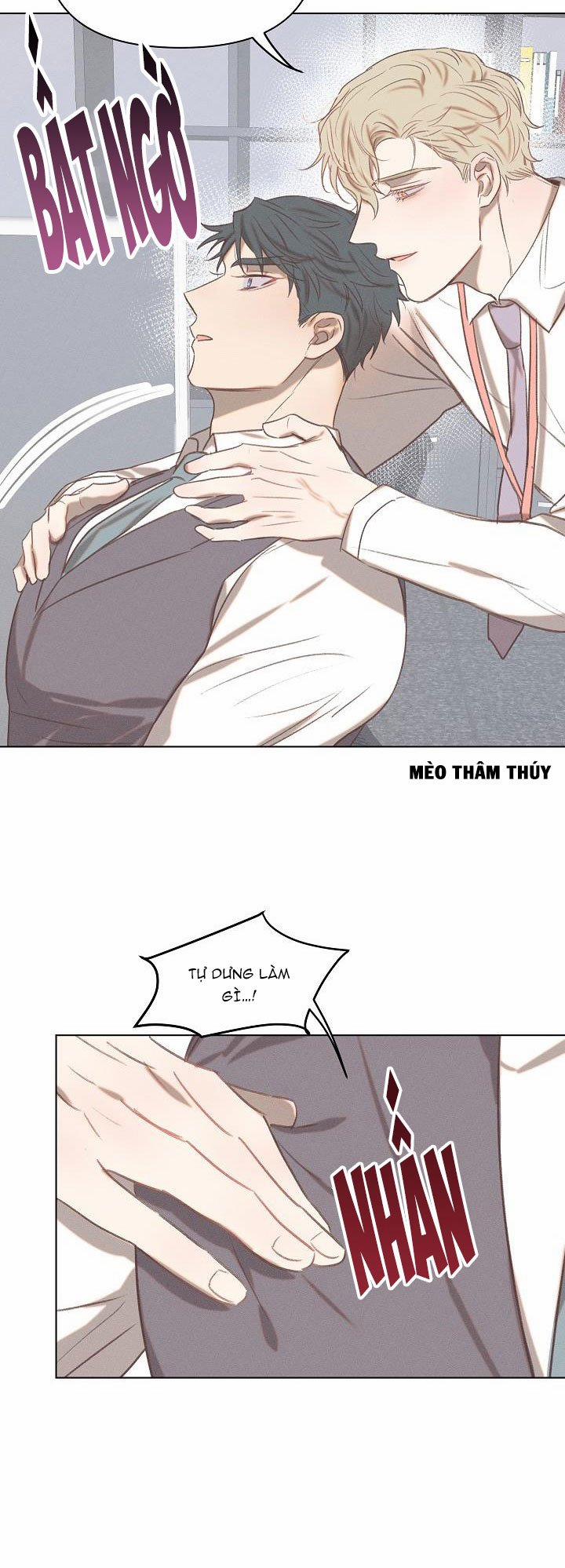 Tình Yêu Định Mệnh 8 trang 13