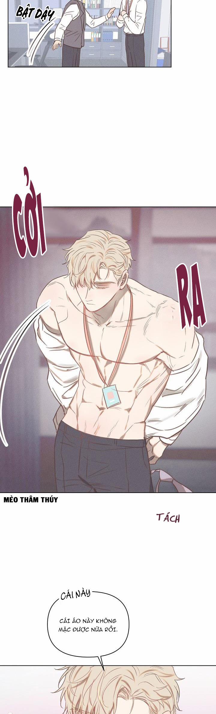 Tình Yêu Định Mệnh 8 trang 17