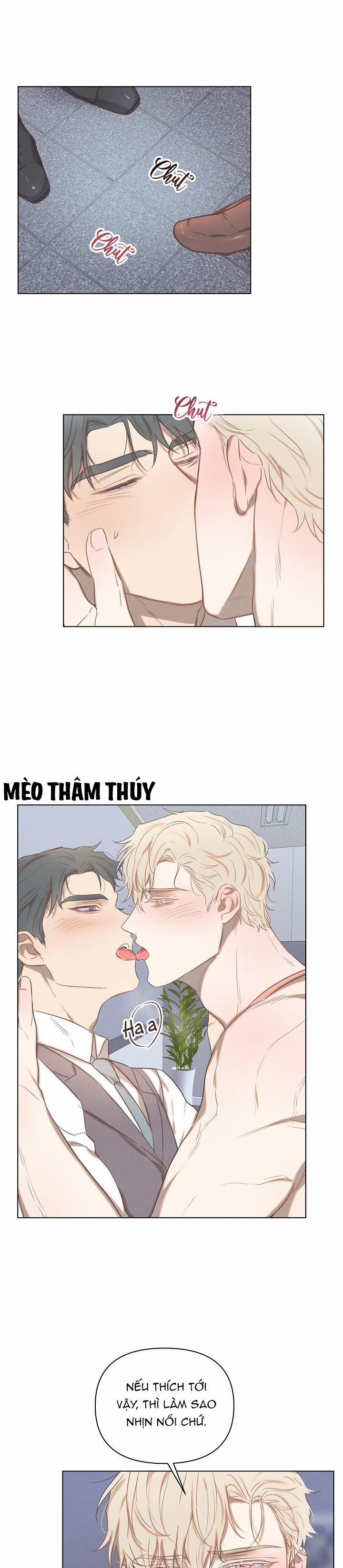 Tình Yêu Định Mệnh 9 trang 0