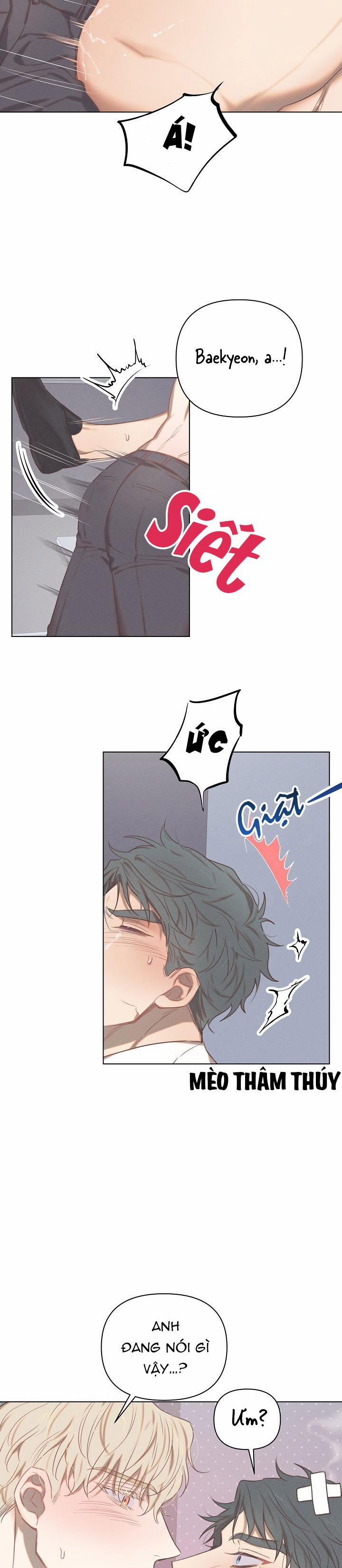 Tình Yêu Định Mệnh 9 trang 17