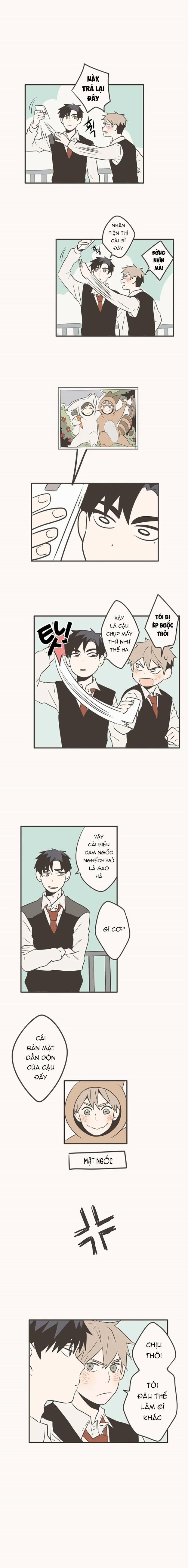 Tình Yêu Gà Bông 14 trang 0