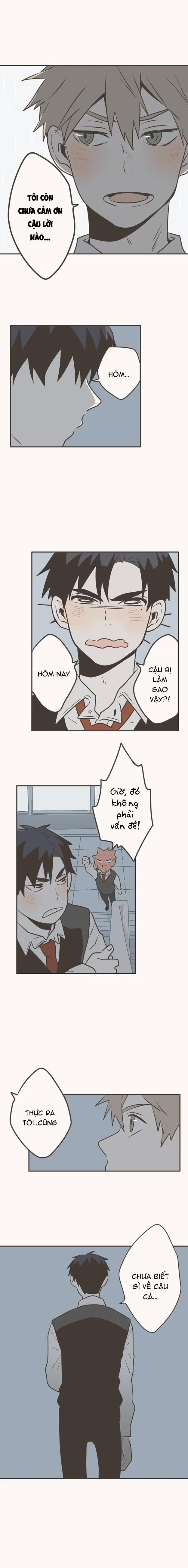 Tình Yêu Gà Bông 8 trang 19