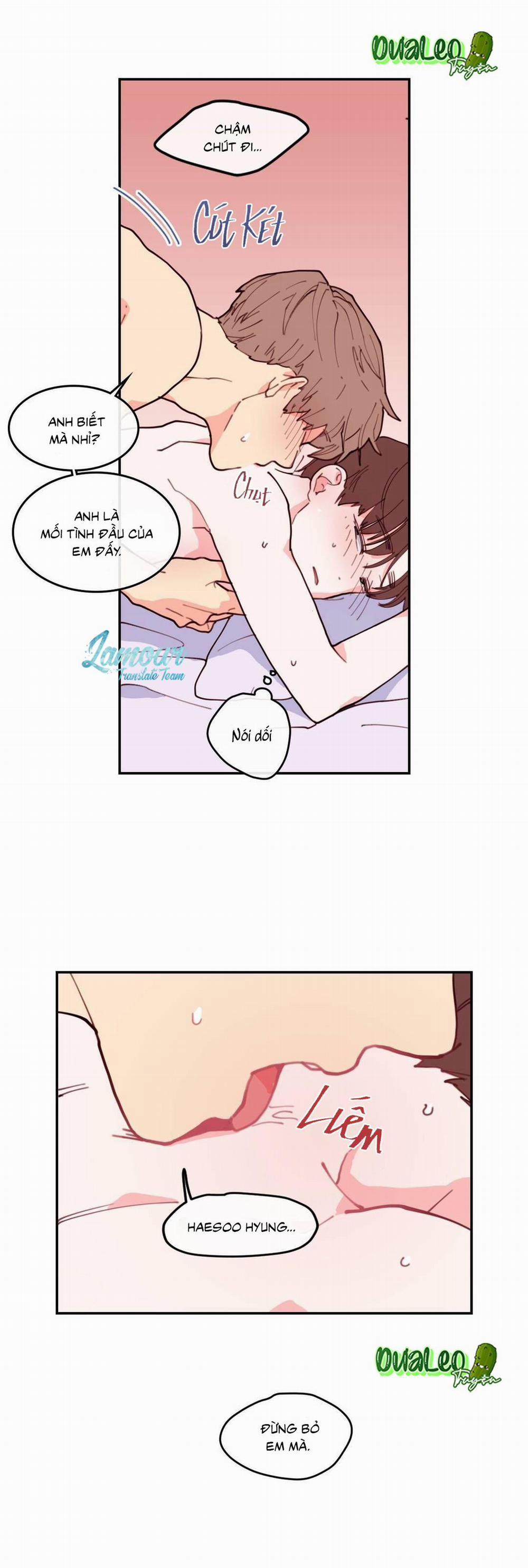 Tình Yêu Hay Thù Hận 1 trang 13