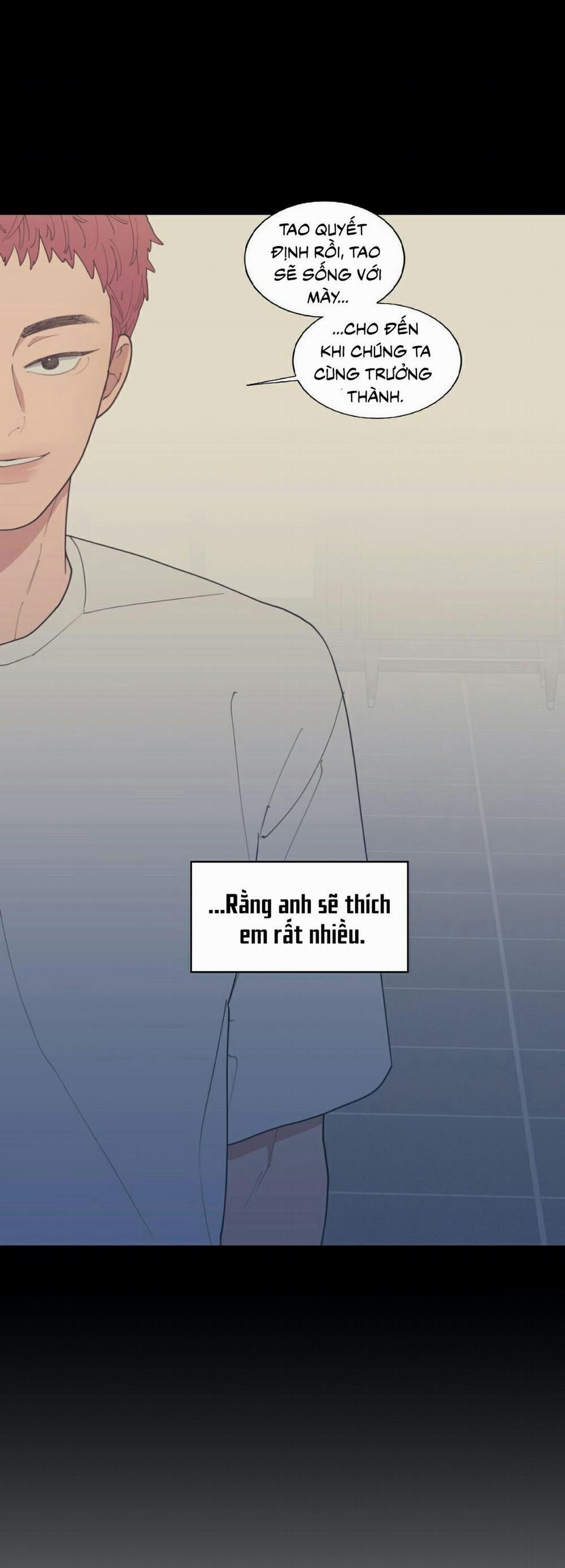 Tình Yêu Hay Thù Hận 100 trang 11