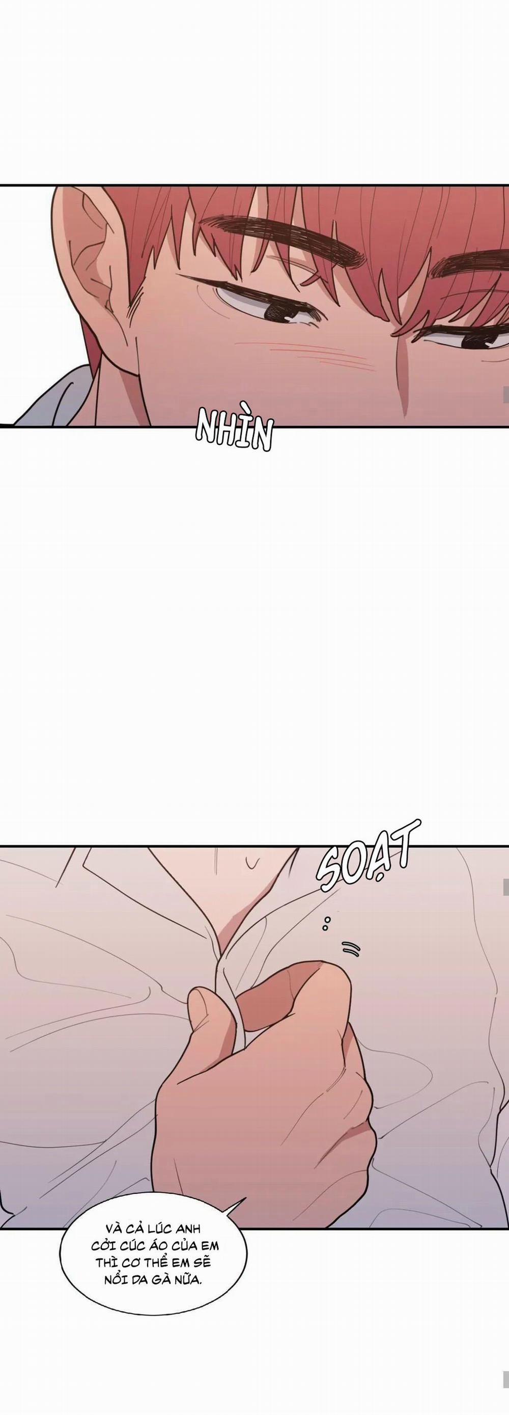 Tình Yêu Hay Thù Hận 102 trang 11