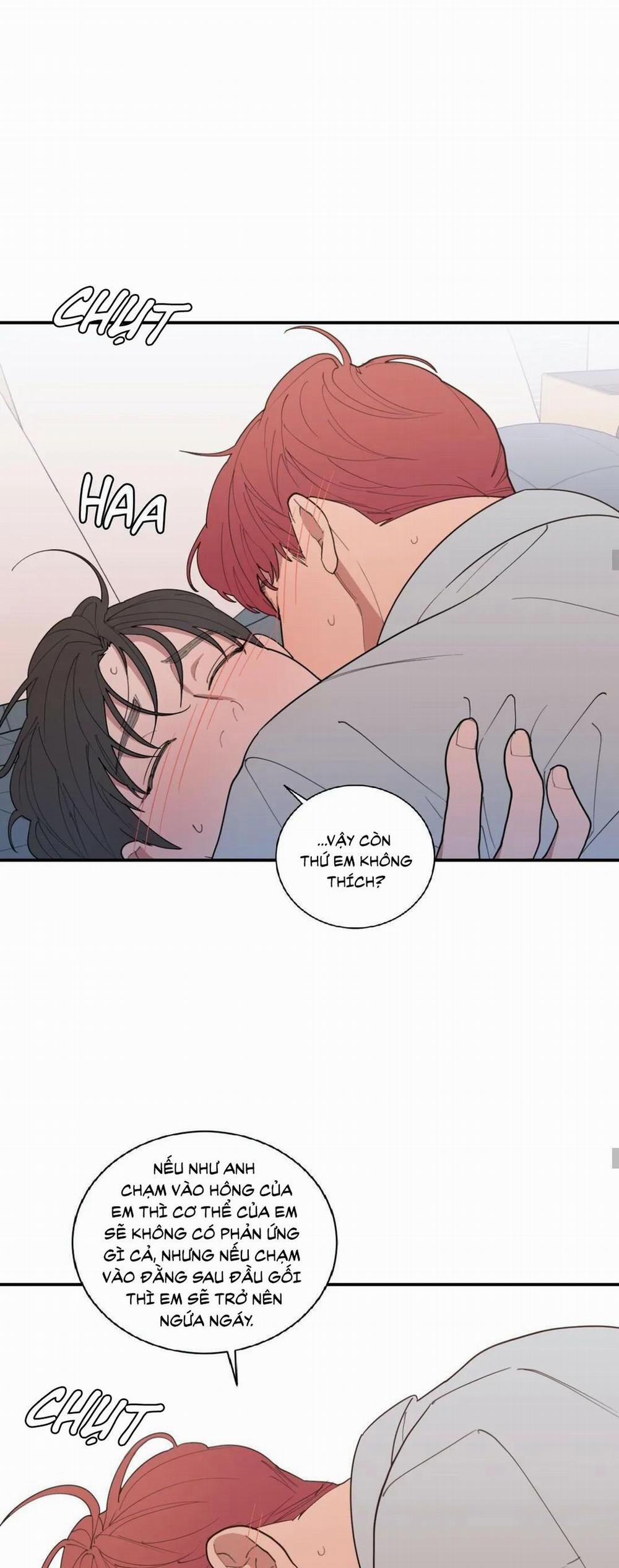 Tình Yêu Hay Thù Hận 102 trang 15