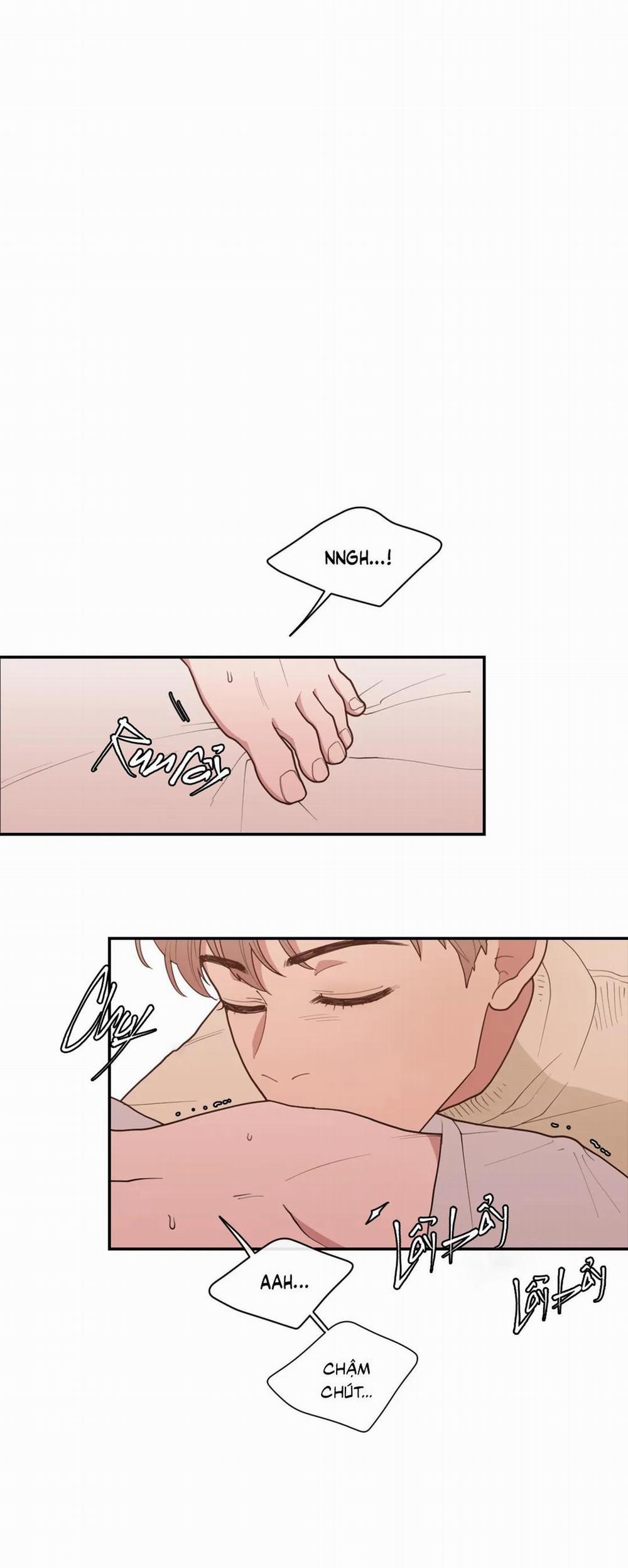 Tình Yêu Hay Thù Hận 50 trang 10