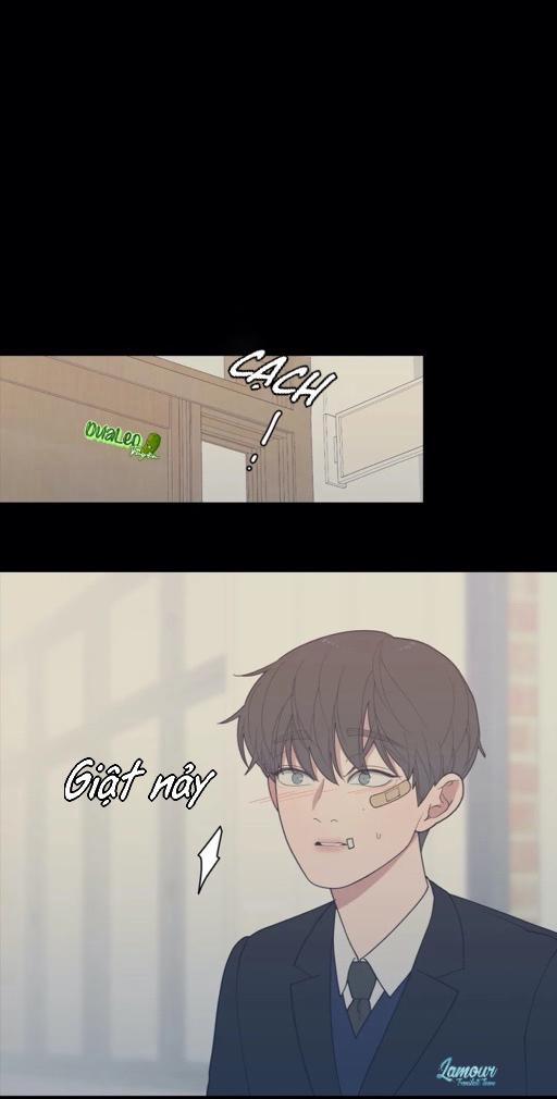 Tình Yêu Hay Thù Hận 73 trang 19