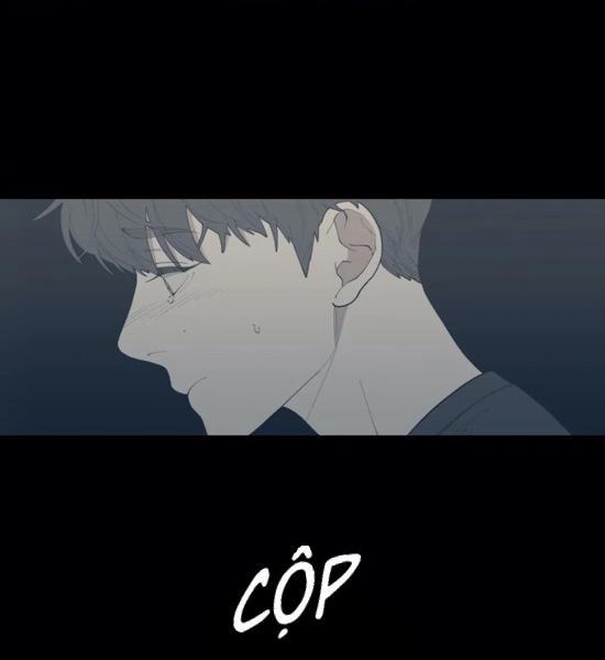 Tình Yêu Hay Thù Hận 74 trang 5