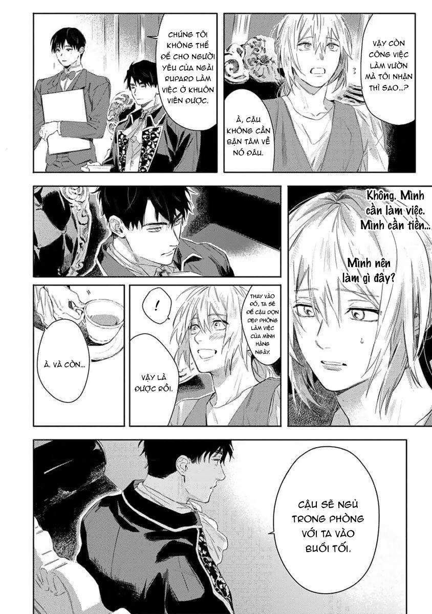 Tình Yêu Hoa Hồng Dại 1 trang 31