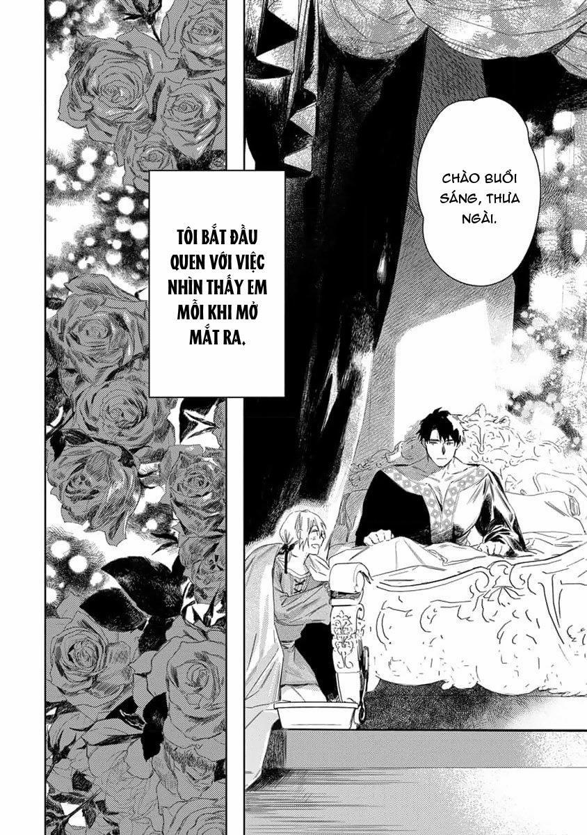 Tình Yêu Hoa Hồng Dại 2 trang 36