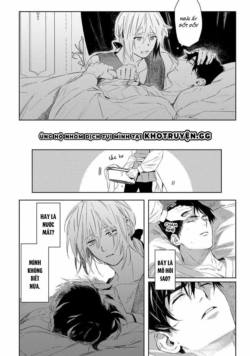 Tình Yêu Hoa Hồng Dại 2 trang 4