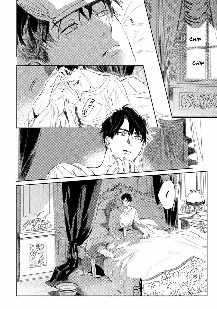 Tình Yêu Hoa Hồng Dại 2 trang 6