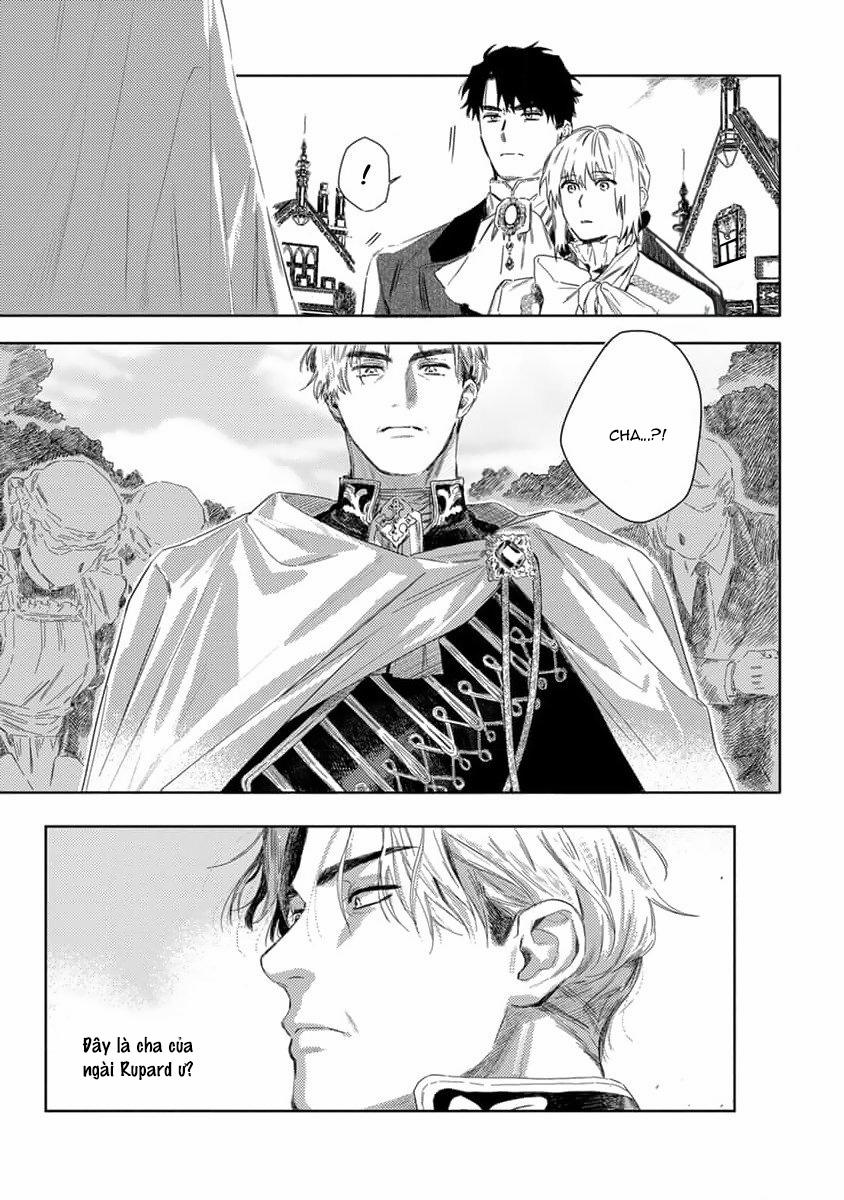 Tình Yêu Hoa Hồng Dại 3 trang 13