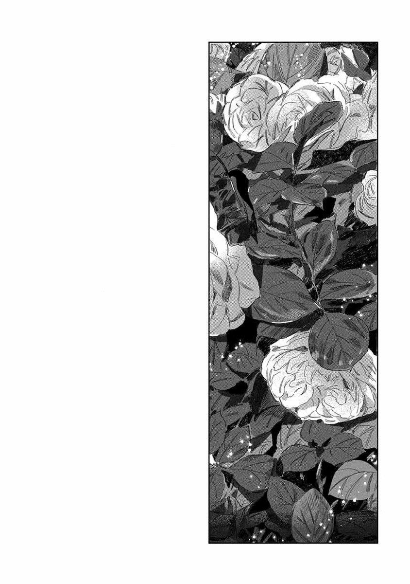 Tình Yêu Hoa Hồng Dại 3 trang 28