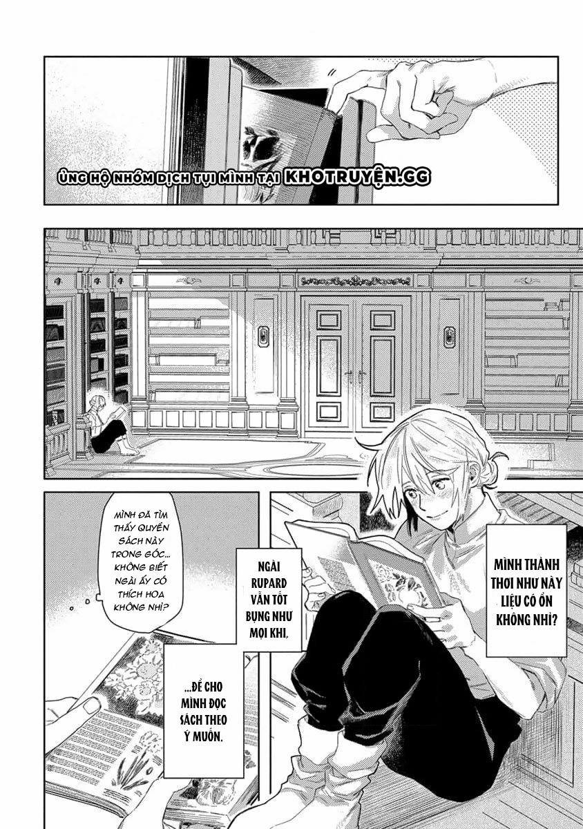 Tình Yêu Hoa Hồng Dại 3 trang 6