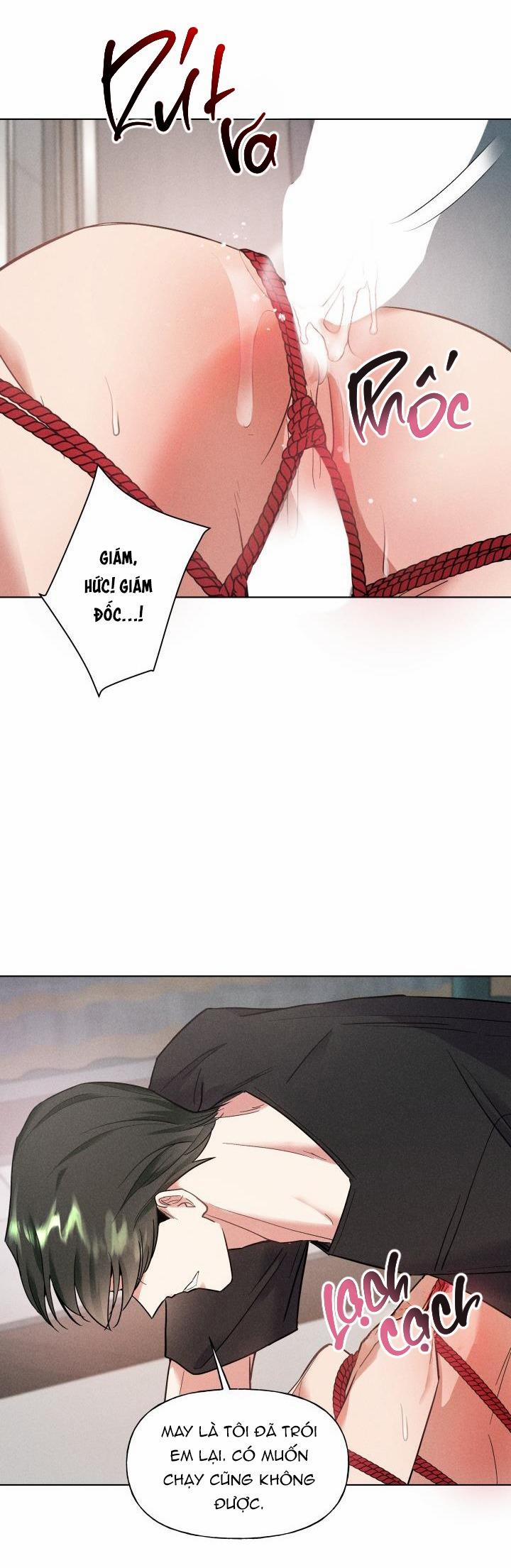 Tình Yêu Không Tổn Thất 13 trang 29