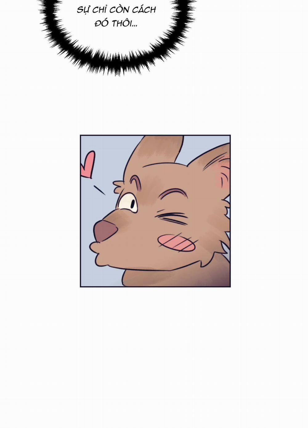 Tình Yêu Lụi Tàn 13 trang 23