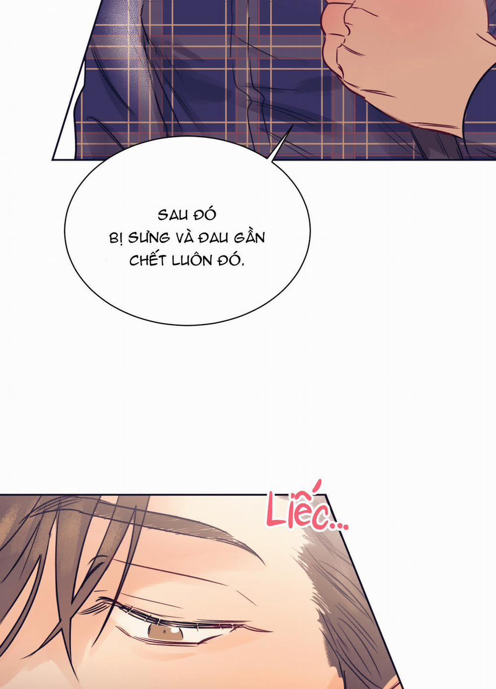 Tình Yêu Lụi Tàn 13 trang 43