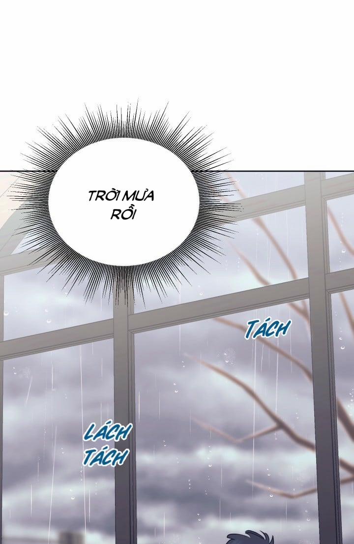 Tình Yêu Lụi Tàn 6 trang 11