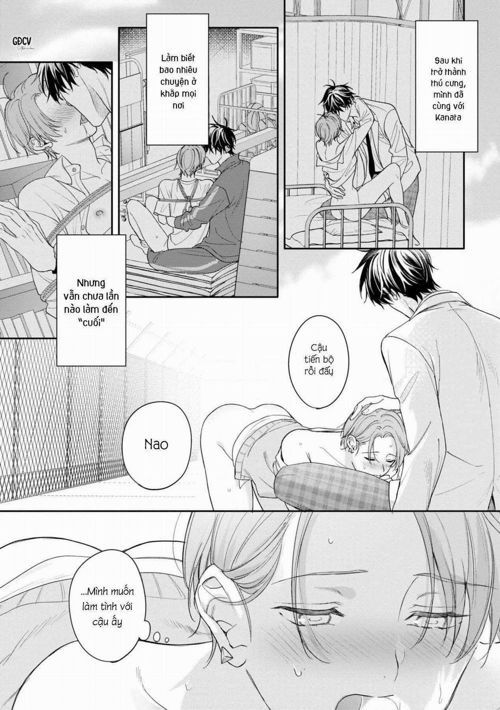 Tình Yêu Ngọt Ngào Nhưng Không Kém Phần Táo Bạo 0 0 trang 5