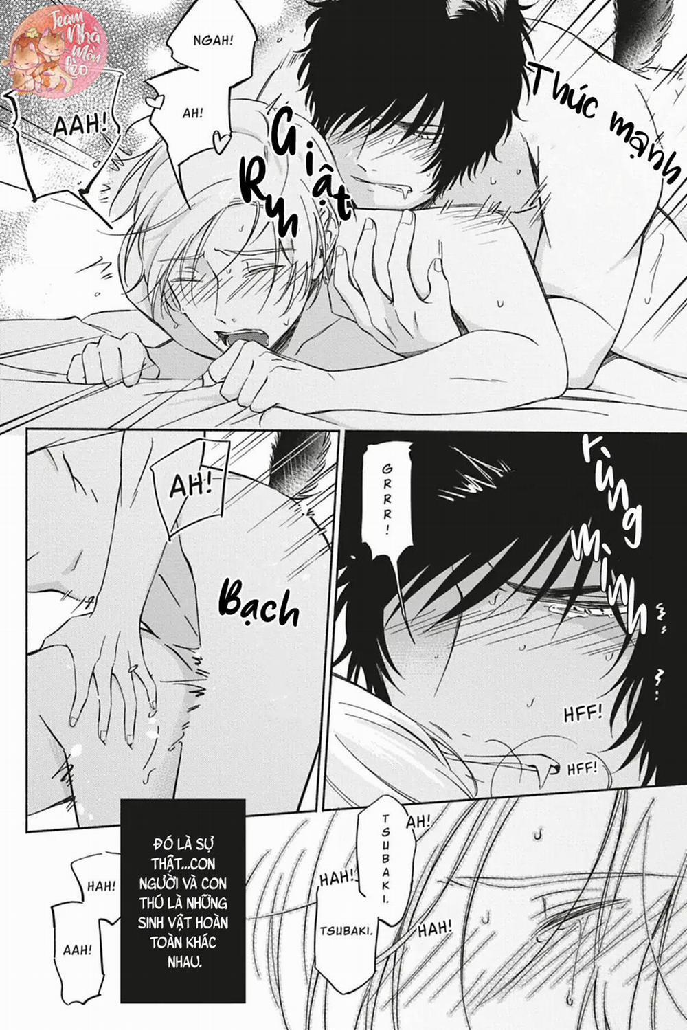 TÌNH YÊU NƠI ANH 1 trang 34