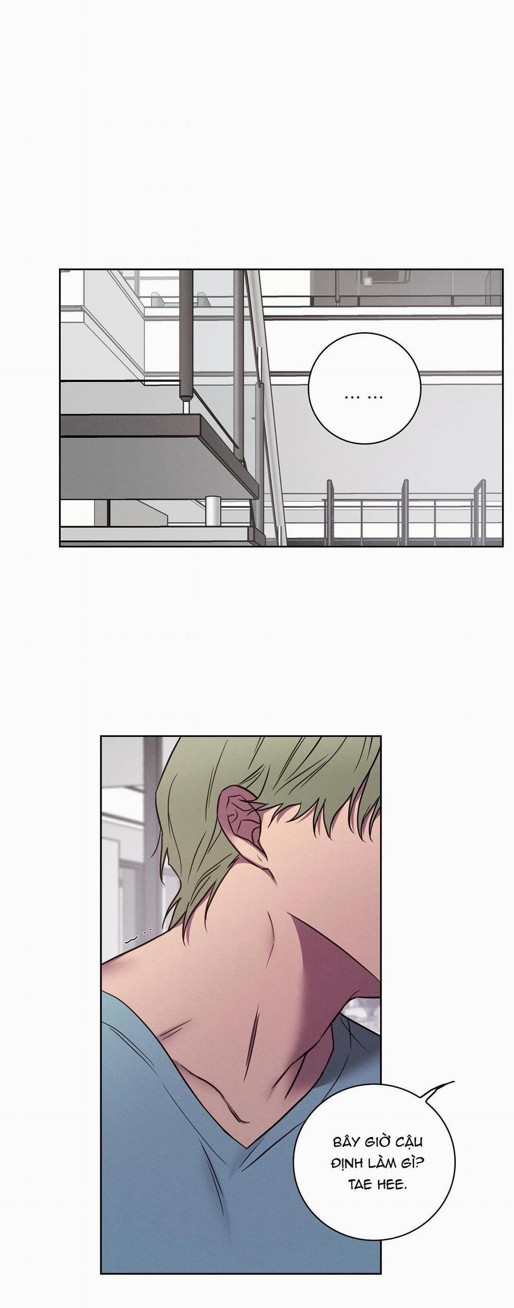 Tình Yêu Phòng Gym 35 trang 28