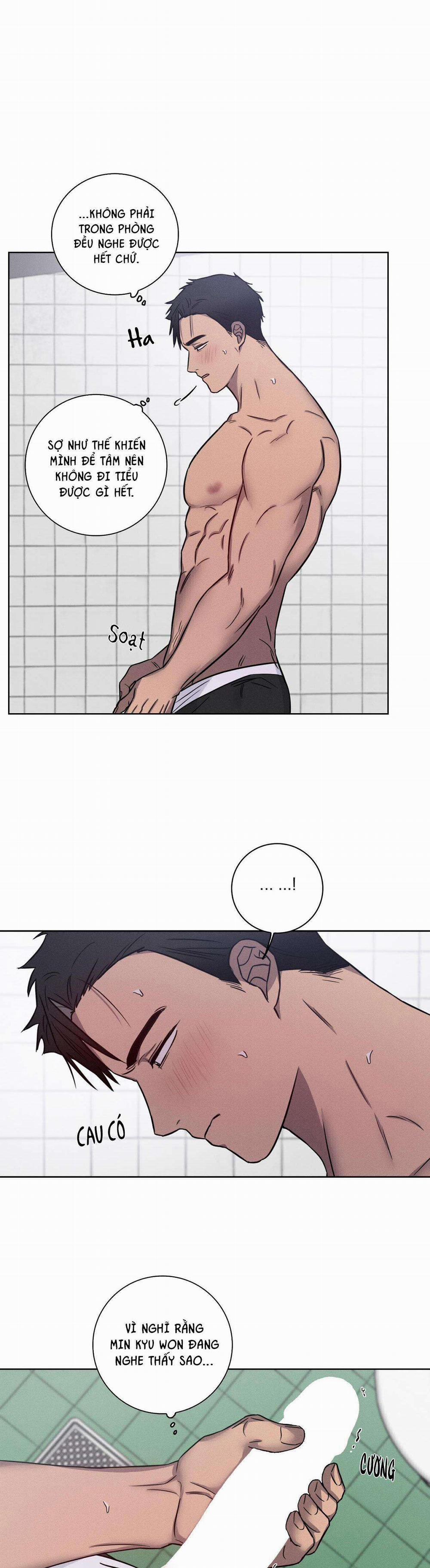 Tình Yêu Phòng Gym 38 trang 11