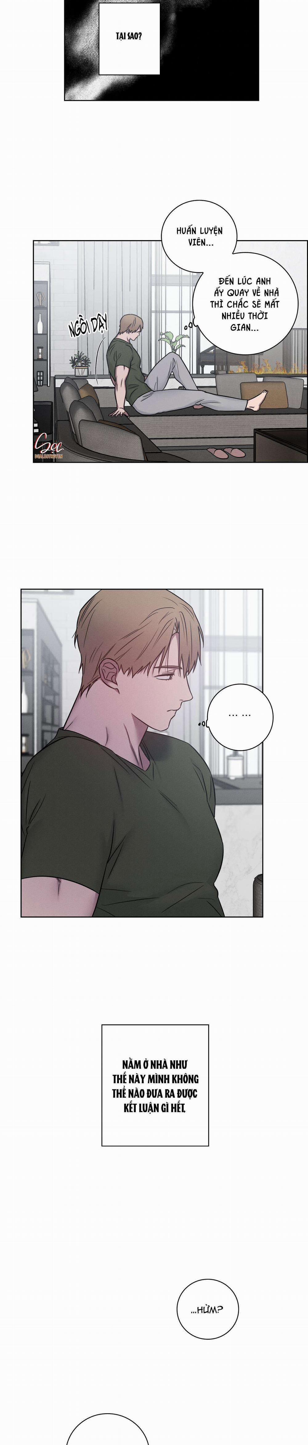 Tình Yêu Phòng Gym 45 trang 10