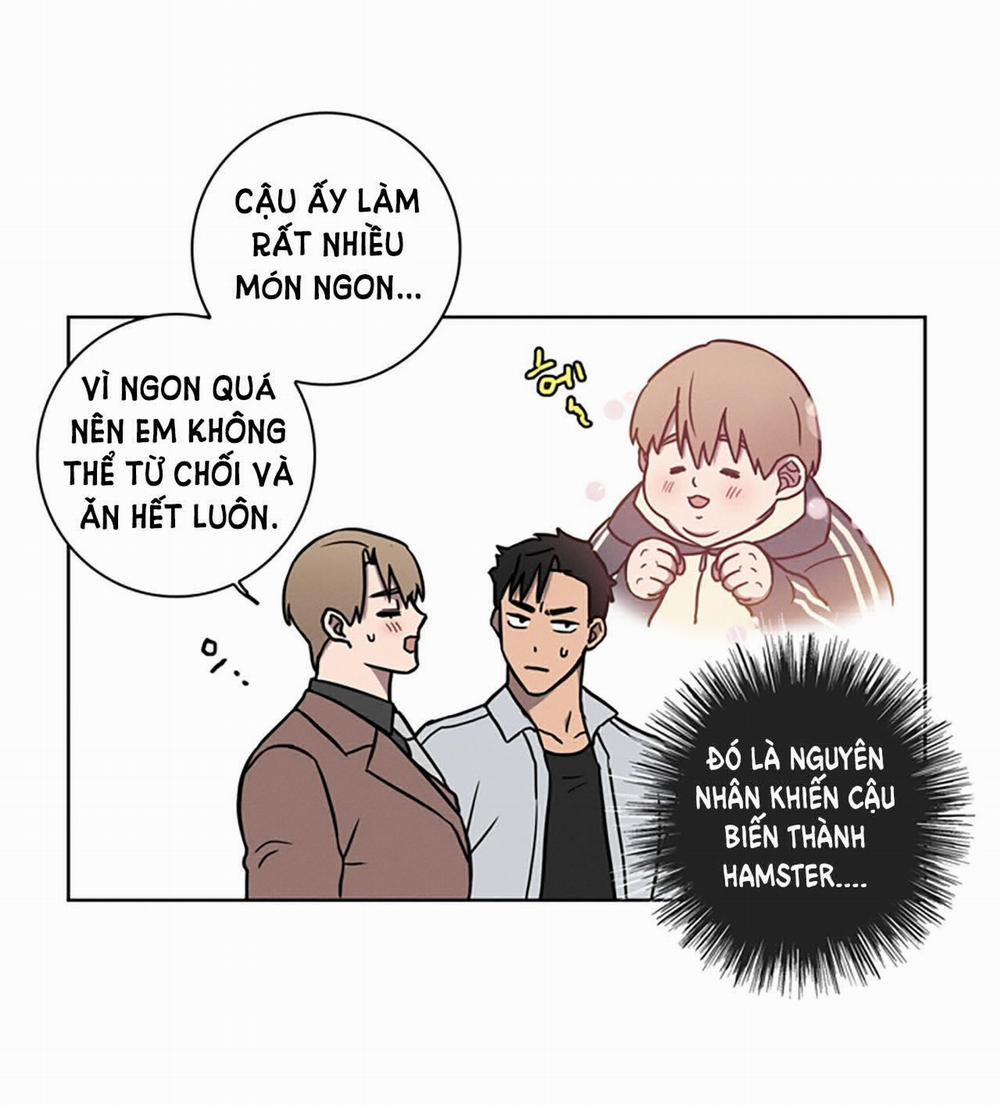 Tình Yêu Phòng Tập Gym 12.2 trang 2