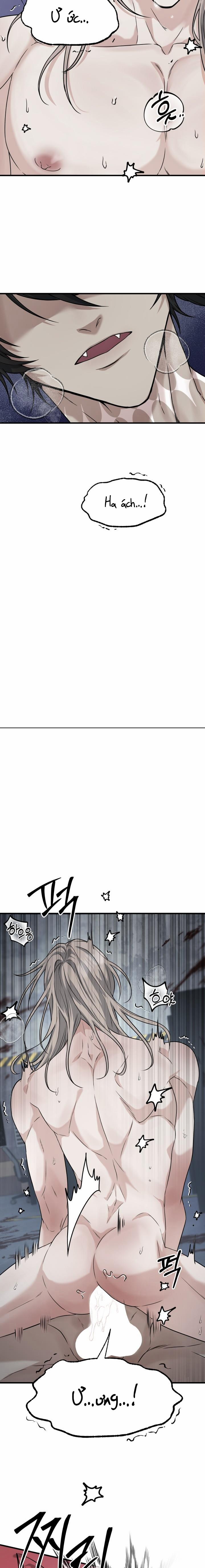 Tình Yêu Và Thù Hận 2 trang 22