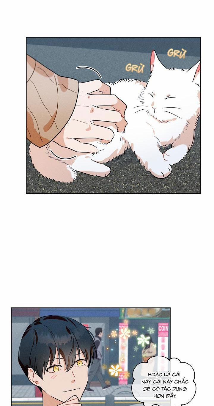 Tố Cáo Sếp Tôi 12 trang 19