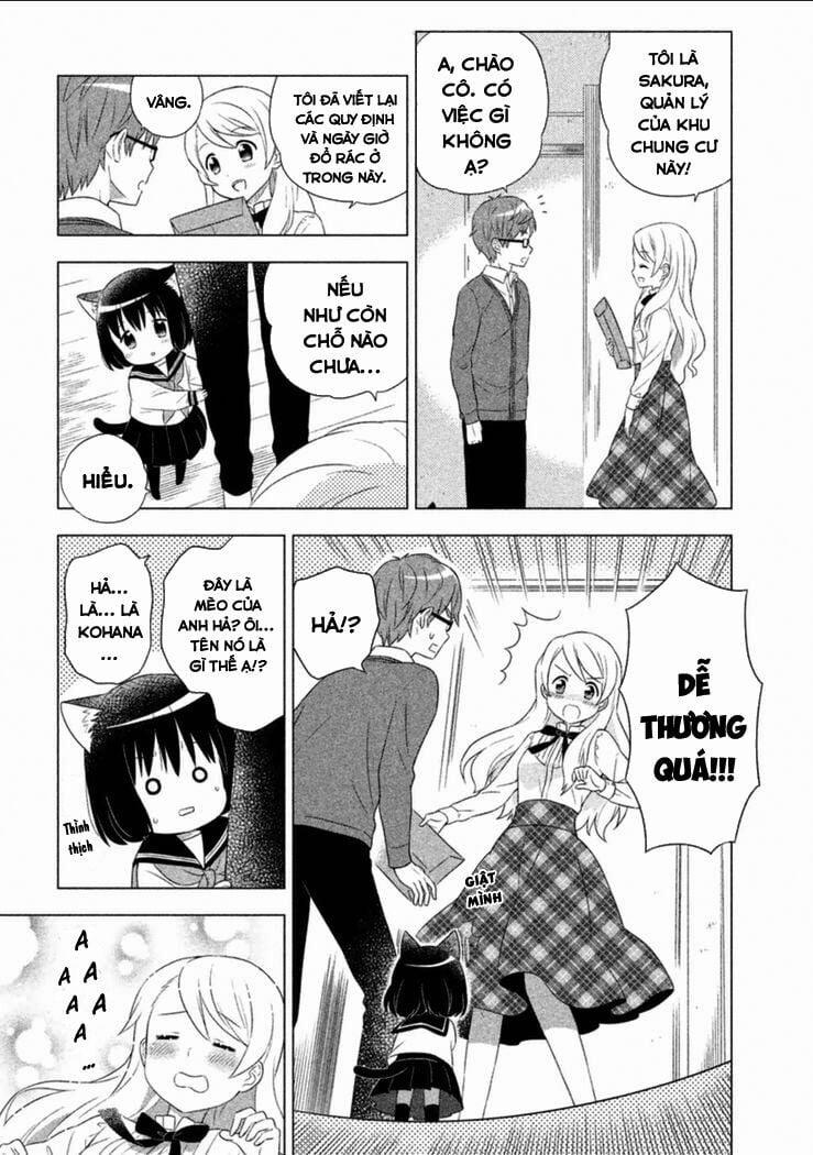 Tớ Là Mèo Kohana 1 trang 13