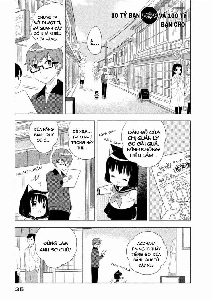 Tớ Là Mèo Kohana 3 trang 0