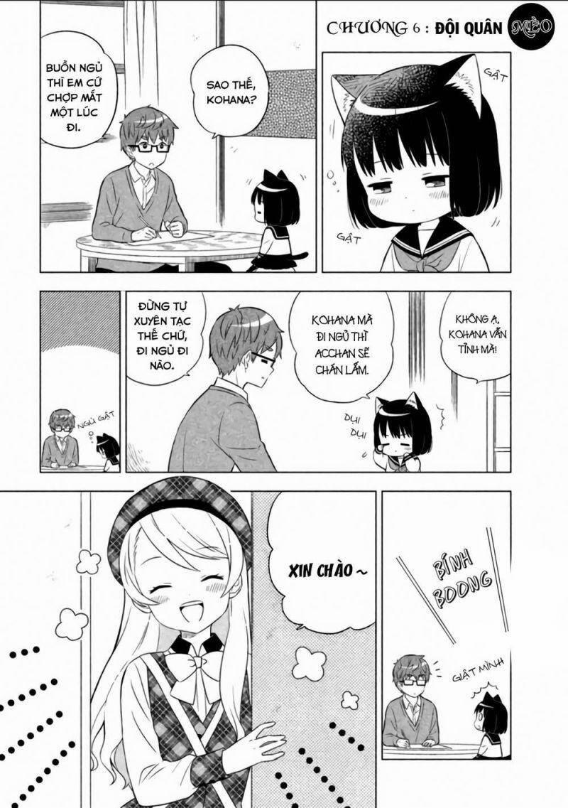 Tớ Là Mèo Kohana 6 trang 0