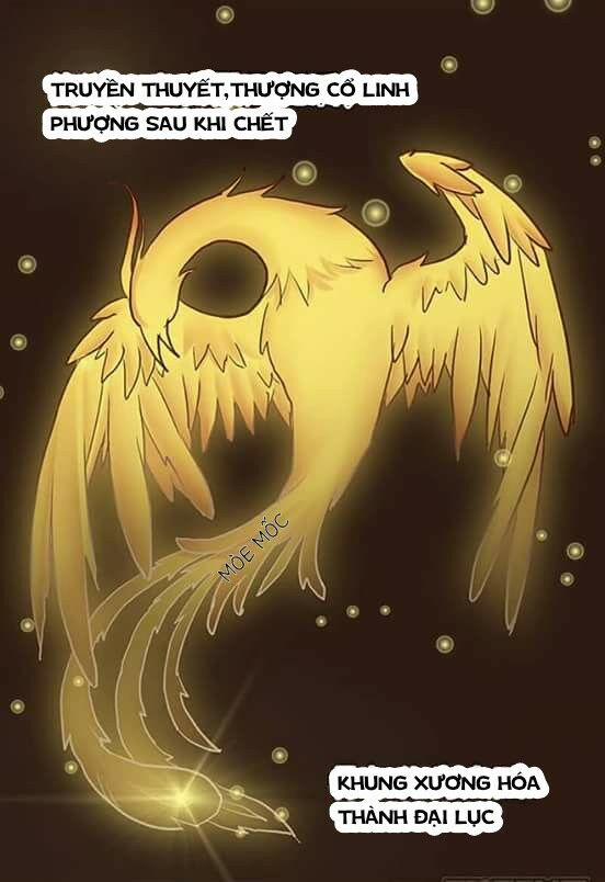 Tố Thủ Già Thiên 1 trang 0