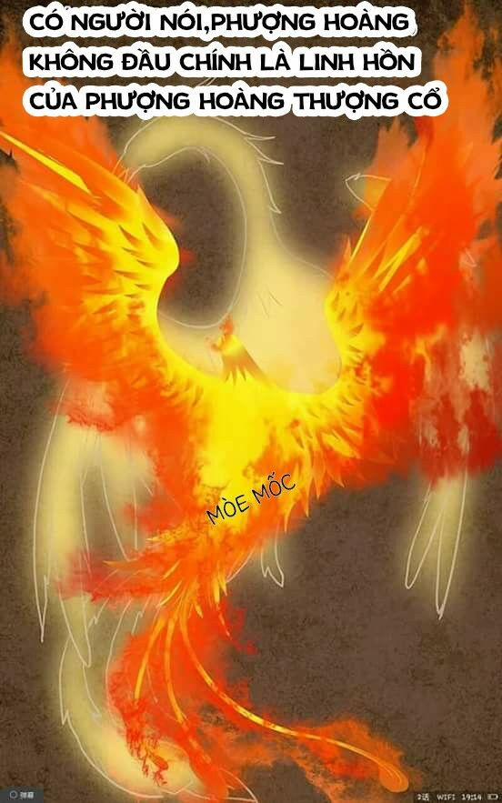 Tố Thủ Già Thiên 1 trang 7