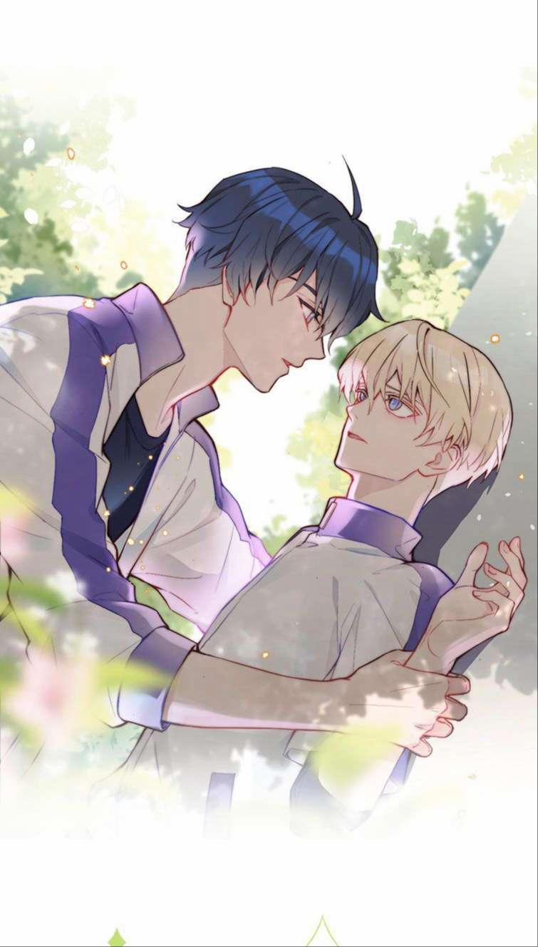 Tỏ Tình Vô Hiệu 13 trang 1