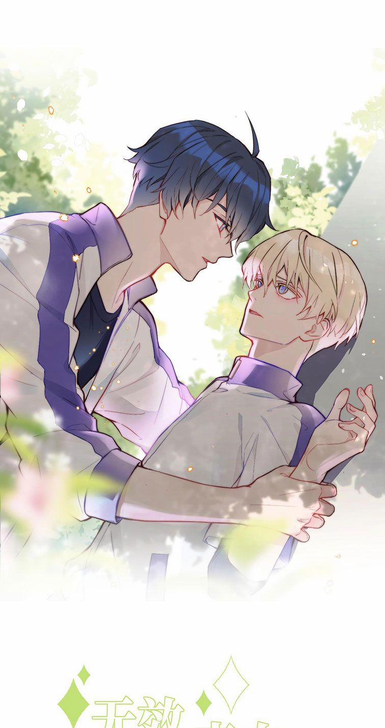 Tỏ Tình Vô Hiệu 21 trang 1